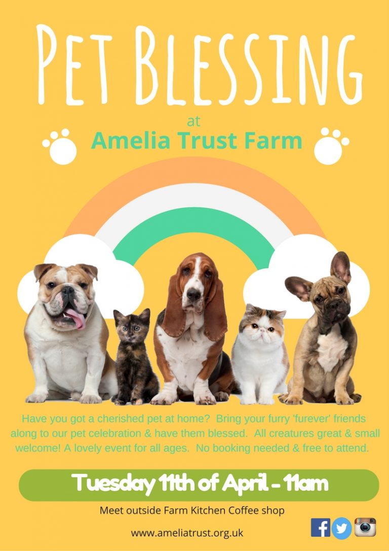 Pet Blessing at Amelia Trust Farm Wales Synod